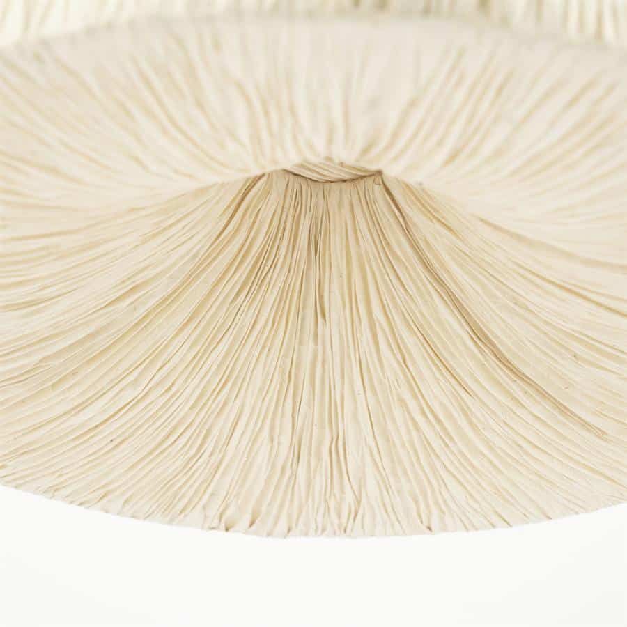Pendant lamp Lokta 1