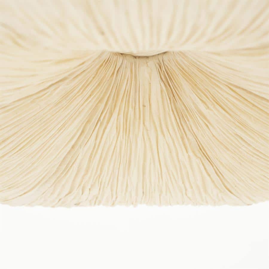 Pendant lamp Lokta 2