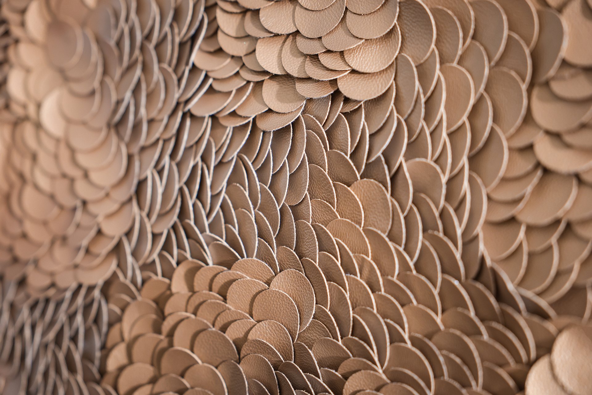 6849c6377fda0-wa-0012-setting_1