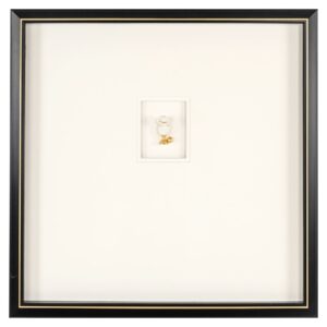 6849c67f1b3bc-wa-0049-01